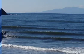 IMG_20220112_101605_627