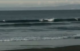 Screenshot_20220114-081040~2