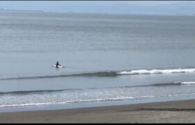 Screenshot_20220120-151045~2