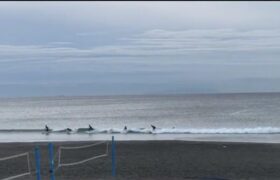 Screenshot_20220124-092842~2