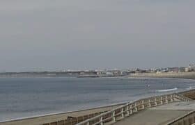 Screenshot_20220126-124404~2