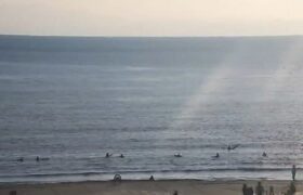 Screenshot_20220129-155842