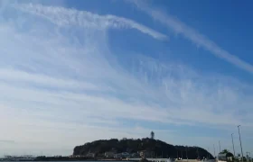 IMG_20220209_095136_734