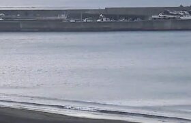 Screenshot_20220308-073542~2