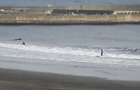 Screenshot_20220311-170726~2