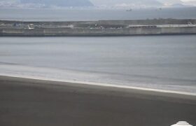 Screenshot_20220318-081931