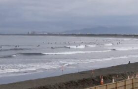 Screenshot_20220328-080349~2