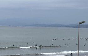 0CFD1DF3-4293-4CB0-A1B5-3EE79C9973DB