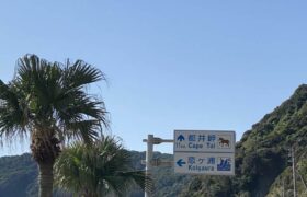 28D9013C-9972-4EB5-84E1-72954B1CB53D