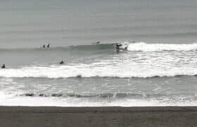 3CF0DB3E-7564-4AA4-9DE0-DC0FAFB14391