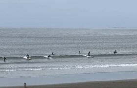 404834F5-BD03-40D3-9F44-86ED27C48FEE