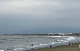 8ED1B6B4-8D06-4E93-9155-508D4AF32914