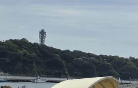 9141DD1C-1566-4B3B-8191-9F994759582A