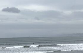 AA27C3B6-9A3E-4F5A-87B7-CC38E4AE6A56