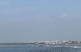 D9B65E5C-58B8-47FA-8511-F54051679A3E