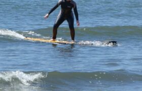 13798E0C-CC3E-498A-ABA7-2FD8D31C87D7