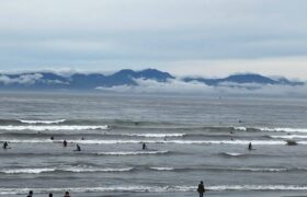 1757E71E-3DAB-42B8-9945-657F4A4DA180