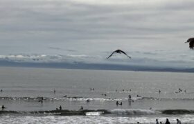 3F391BF0-DCFE-415F-8F70-E70838BE3C21