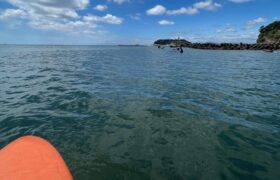 63112FA3-1495-4D57-9747-A477EDEA09F8