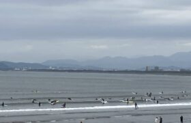 C53C7ACC-7532-44BA-BC67-BFCD76EFA756