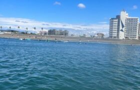 F05AACC4-B365-4E33-8E3C-90BD3EDAAC19