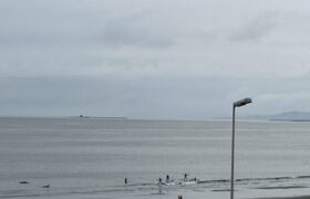 FF49A0DC-827D-43D2-A695-F5519454BCA2