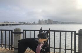 19F6D24F-96C5-4E73-A10F-54F2F9756837