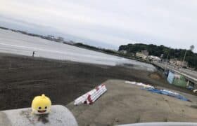 21230F71-6D98-415D-85A8-5A52DA60F61F