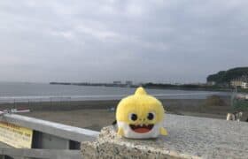 27E34094-234C-4BC7-80F4-60016BB4DEA2