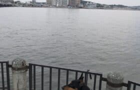 38C89413-E3CE-40A3-B0A5-B1BF8DF43E5A