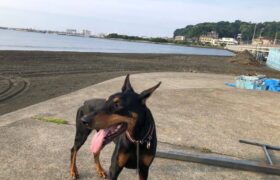 3D1282C9-B2D3-4780-84D2-56A58BF66E42