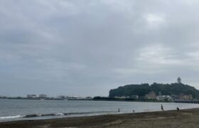 55B6F95F-0932-44FF-953F-C89109161C5E