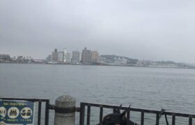 696891A7-B3CC-4FCF-AB39-1B6EF15E8646