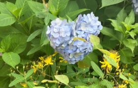 6FD08587-3513-46F5-94A2-CAC9A5C926DC