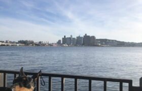 A12E41C8-05A6-4E8A-977A-1C272EB28F5C