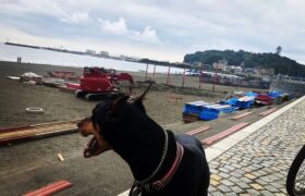 C4D9A668-B45F-4BA0-8188-530465A1B97E