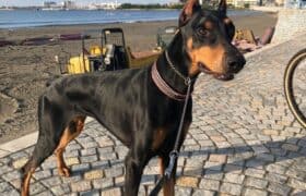 E0EF5116-207B-401C-8EA7-3A646B98726E