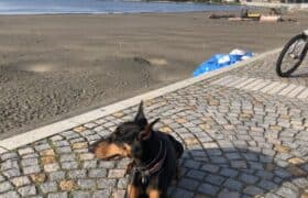 E2B59993-7713-4940-84C5-7F4E30322FC0