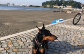 FCE6986B-F7FD-4356-A2B9-01A4A5E16450