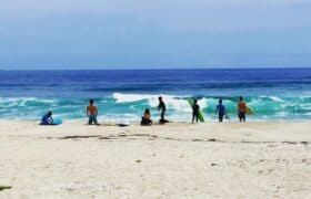 28D23411-F674-43DB-98F7-C62B2AA7A1BB