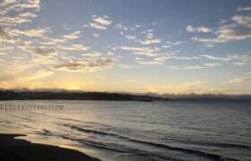 4680F81F-549B-4BCC-A814-432C13E800F2