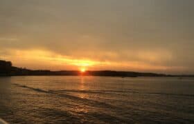 505597C4-72EB-4339-927A-928854C2097F