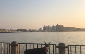 715BAD42-AF2F-4867-B944-58B01C6C1177