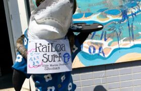 A22CC7BD-0041-4E48-B89F-D87A45962C3E