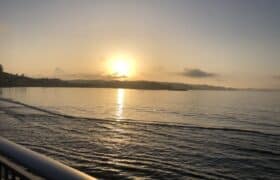 B741A436-02B1-42D8-954A-465334F29443