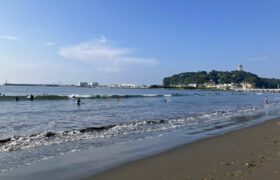 3D4BA87F-49DD-472D-B23F-24A776CF1E4F