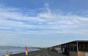 86C4070C-8460-4C43-9863-4C58C07E15EC