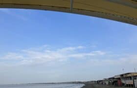 87D7A1C5-9921-49D7-89B8-3DC0706FF0DB