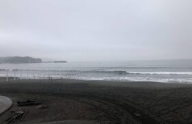 F61D18E6-D4A5-459C-89C5-F63477AFCA10