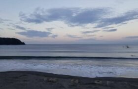 0C4FF317-6593-4976-9B20-79711EEB8EAE